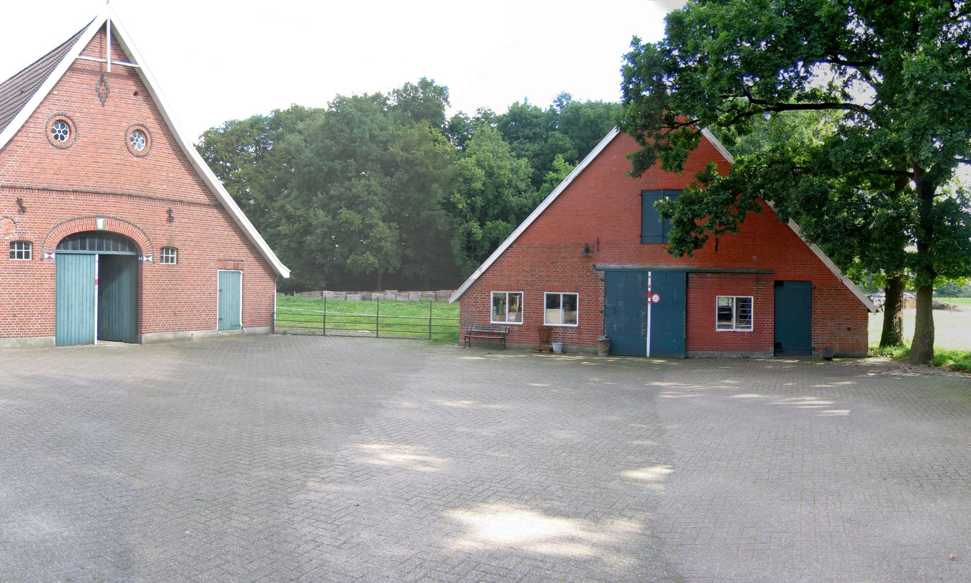 Erve Timmersboer in 2006